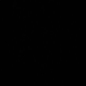 Meet your Posher, Jorge